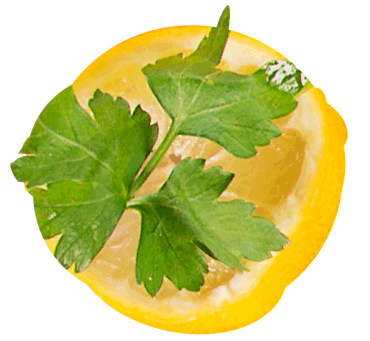 lemon-coriander